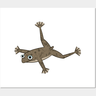 African Dwarf Frog Posters and Art